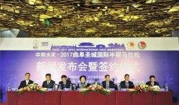 曲阜最新爆料事件新闻发布会,新闻发布会深度解析